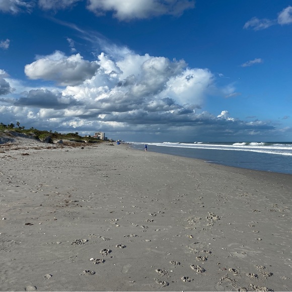 Meet your Posher, Will - Picture 7 of 9